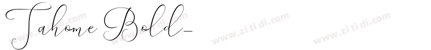 Tahome Bold字体转换